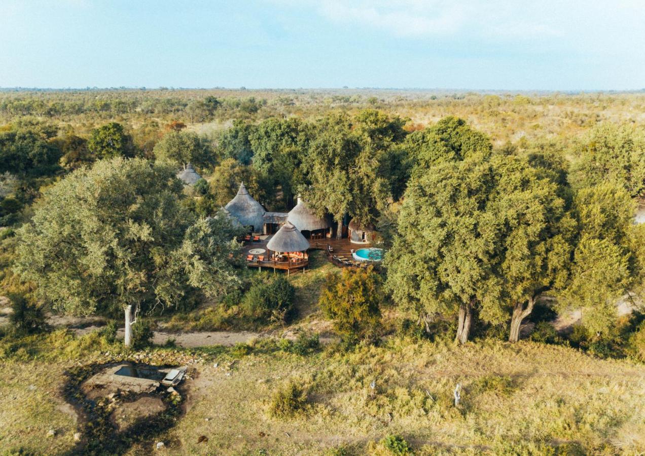 Hoyo Hoyo Safari Lodge Mluwati Concession Eksteriør bilde