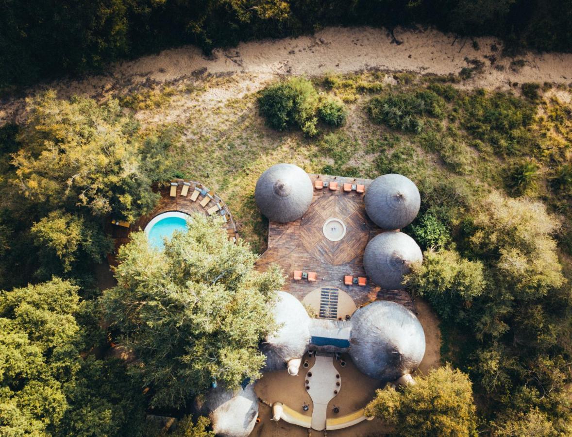 Hoyo Hoyo Safari Lodge Mluwati Concession Eksteriør bilde